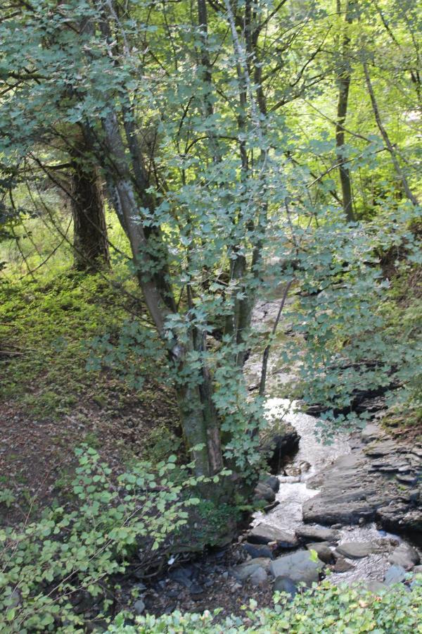 הוילה מונשאו Rivendell 9 מראה חיצוני תמונה